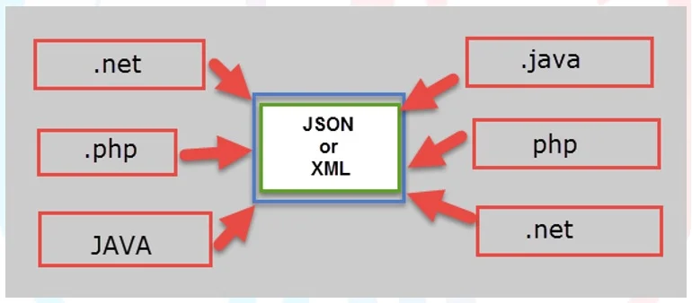 JSON and XML are language independent technologies. JSON and XML are language independent technologies