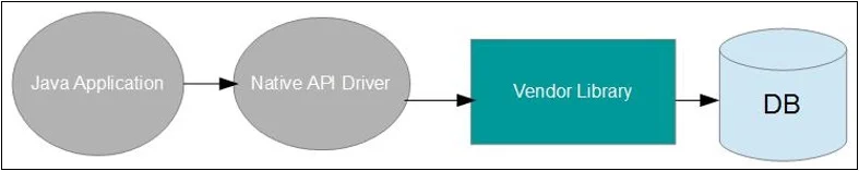 Type 2 JDBC Driver Model Type 2 JDBC Driver Model