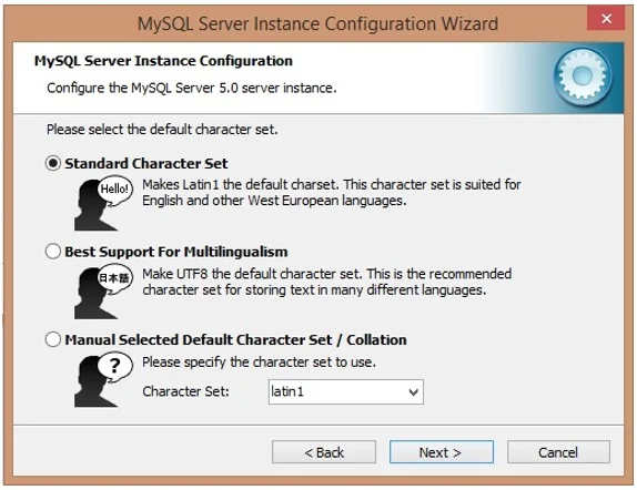 Select Standard Character Set, Click on Next. Select Standard Character Set, Click on Next